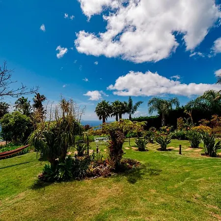 Vila Ourmadeira - Garden Paradise, Stunning *