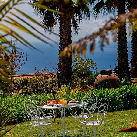 Ourmadeira - Garden Paradise, Stunning 卡列塔